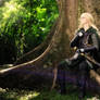 COSPLAY - Eowyn I