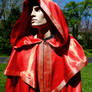 Red Wizard/Witch Robe