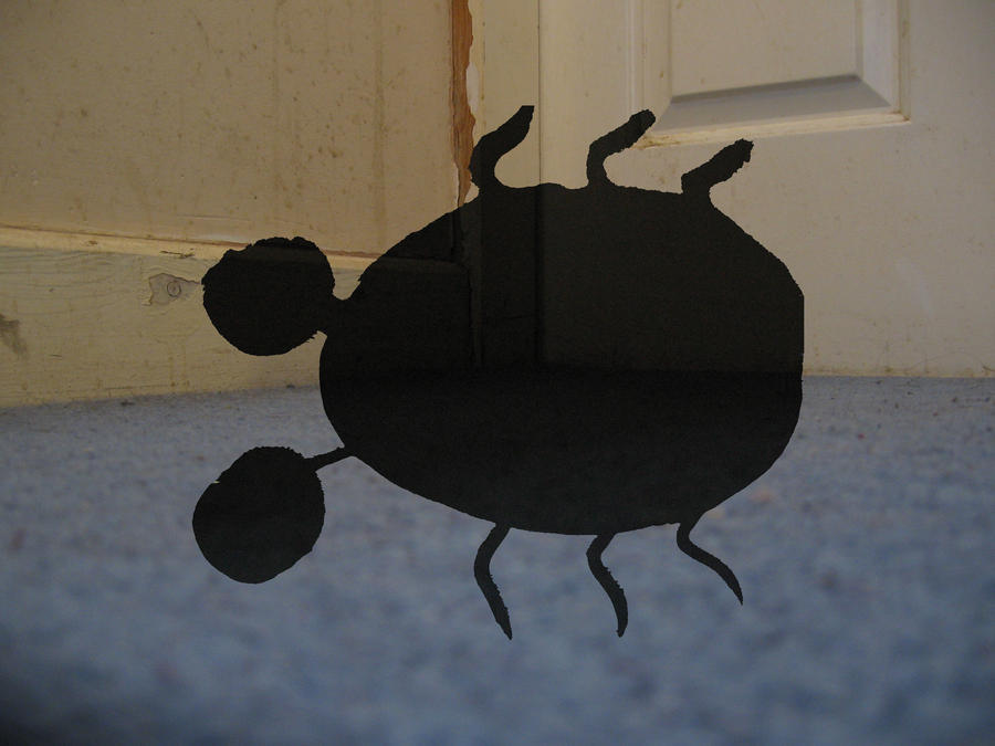 shadow bug by southaquarock on DeviantArt