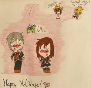 Why Kaname Hates the Holidays