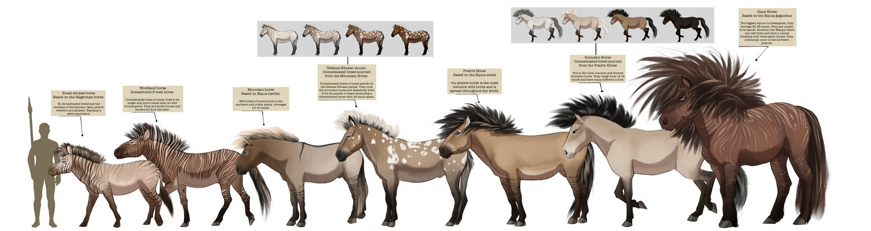 Equus Lineage Aquiline-Eagle - Hobbyist, Digital Artist | DeviantArt