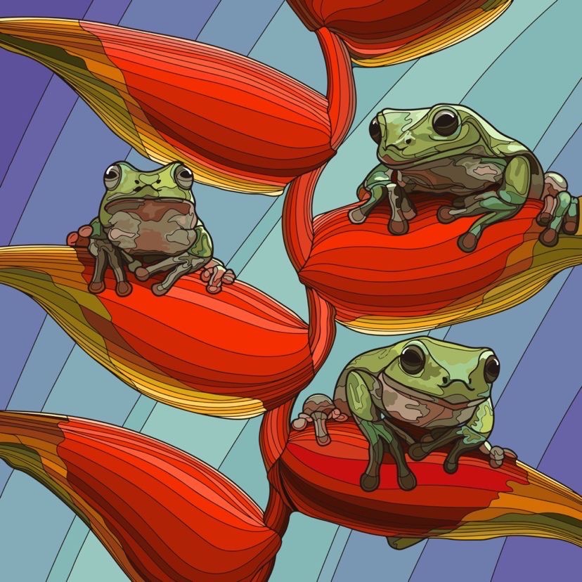 Frogs by harshtaggar1 on DeviantArt