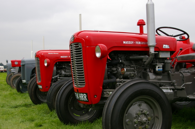 MASSEY FERGUSON LINEUP