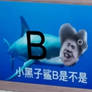 Chinese meme (WHAT)