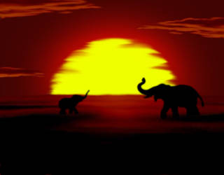 African Sunset