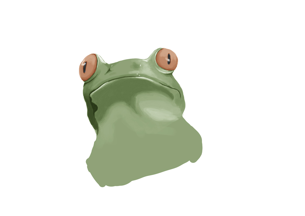 frog study