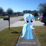 Trixie's outside the street