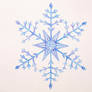 Snowflake