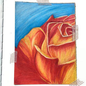 Georgia O'Keeffe inspired rose