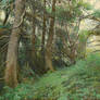2020 Forest 80x100cm oil on canvas