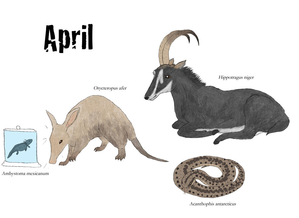 April Lizard April by Becker100 on DeviantArt