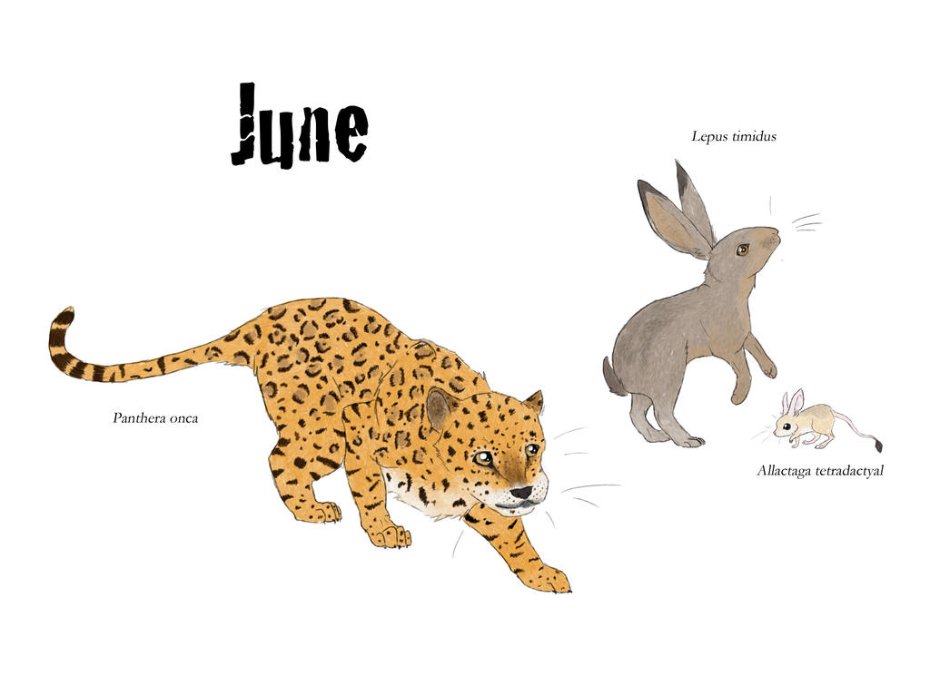 Picture June Rabbit Rabbit June by Becker100 on DeviantArt