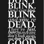 Doc who poster - Dont Blink