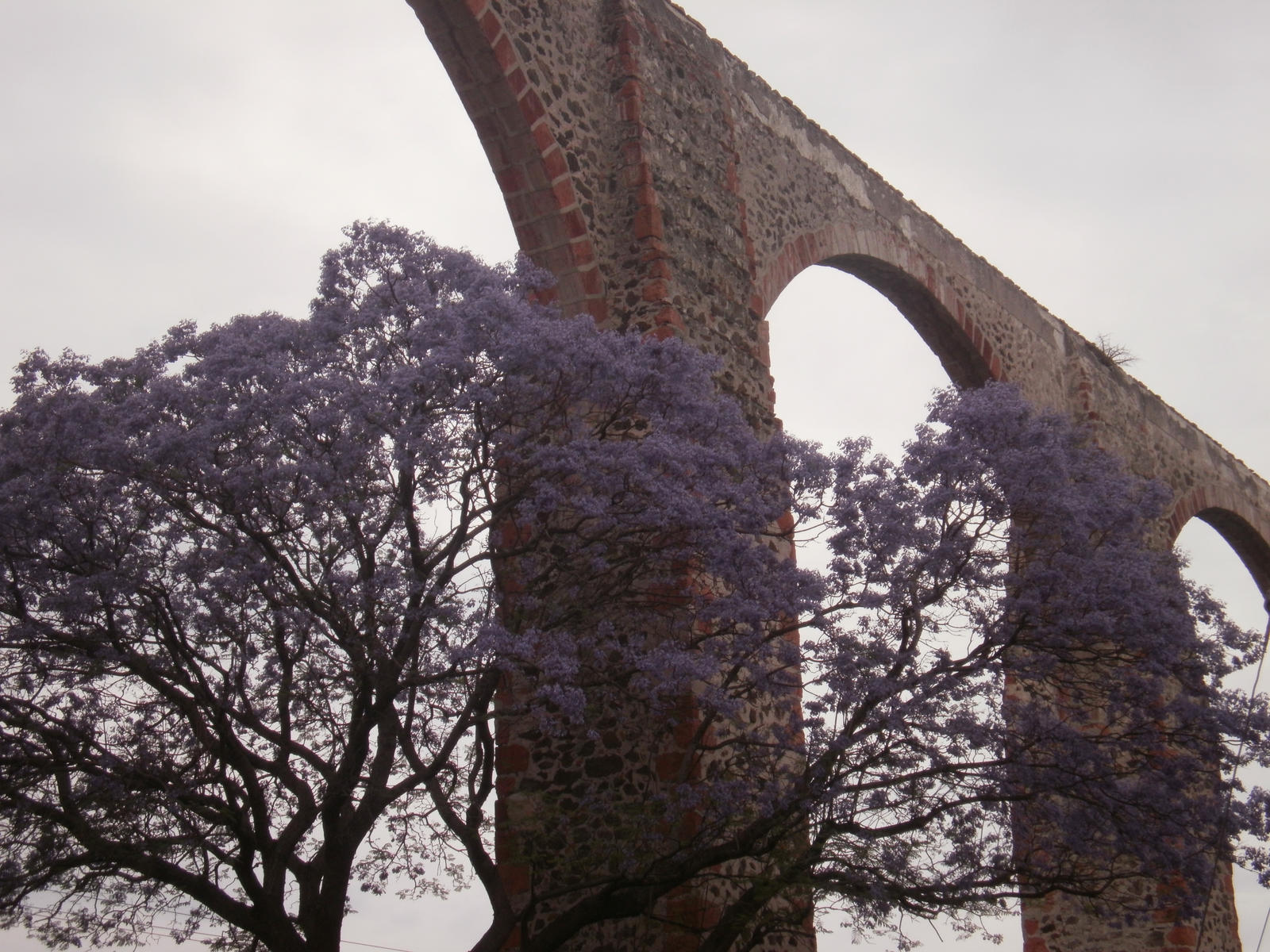 The Aqueduct