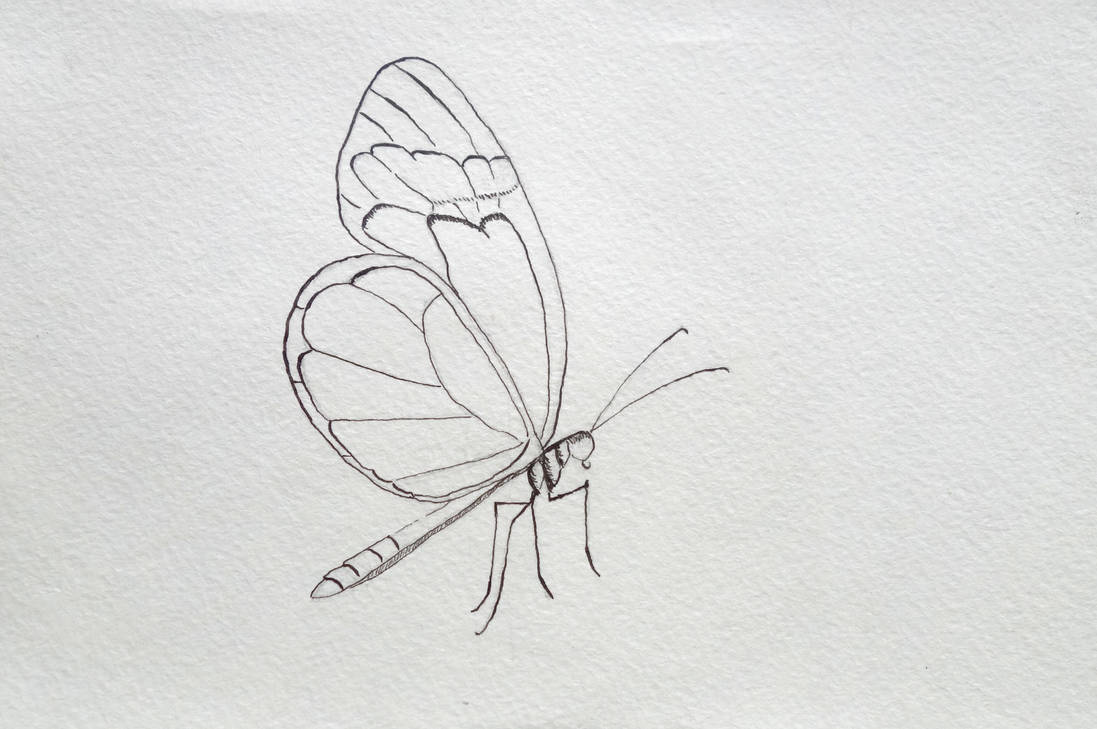 Glass Butterfly by CatRick on DeviantArt