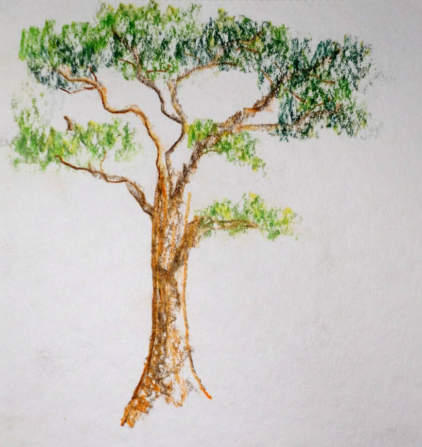 Summer Tree by CatRick on DeviantArt