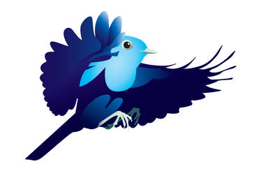 Twitter Bird