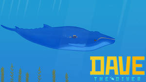 Dave The Whales!