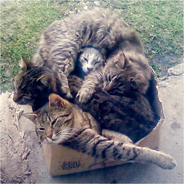 There's No Place Like Box