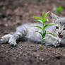 I find my shade :)