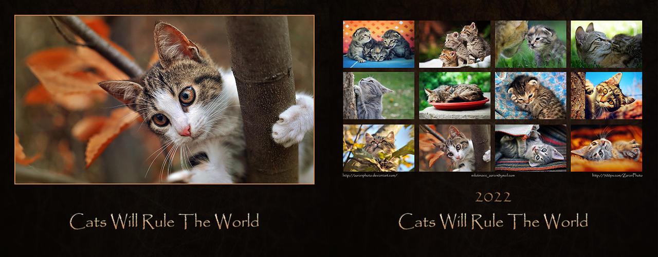 Cats Will Rule The World - Calendar 2022