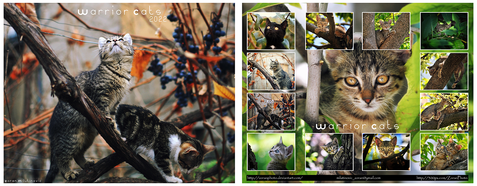 Warrior Cats - Calendar 2022
