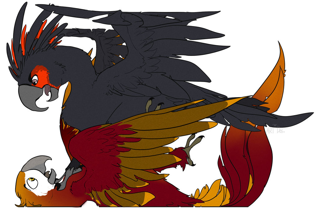Ridicbird Deviantart Rio Rio art by Rita-Des on DeviantArt