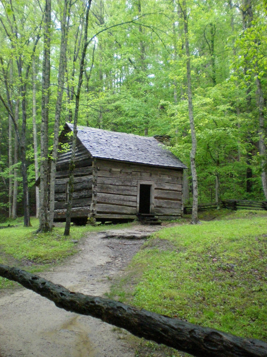 Log Cabin