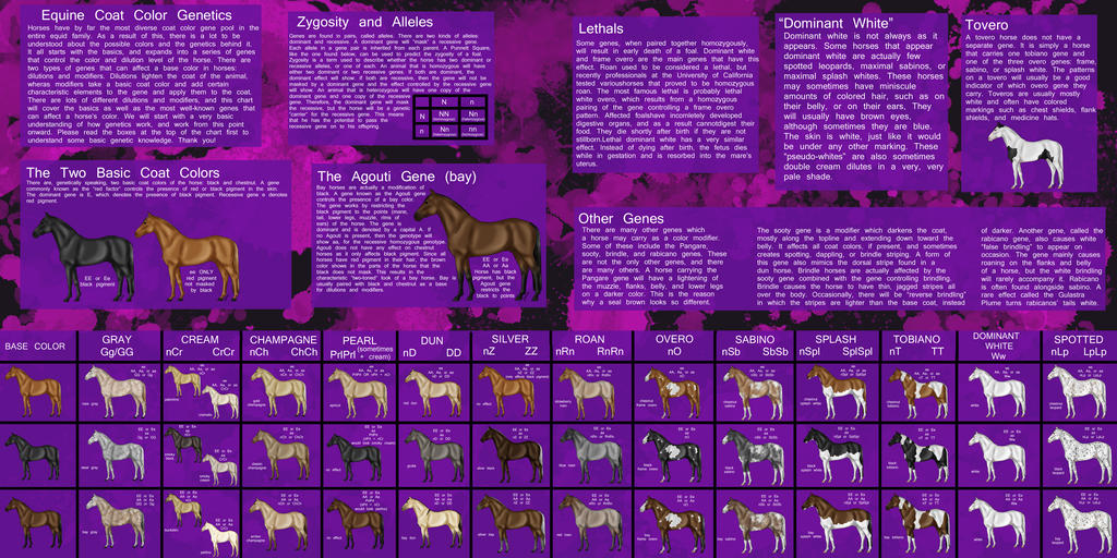 Horse Color Explained by Zephyrra on DeviantArt