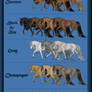 The Kometava Horse - Color Sheet
