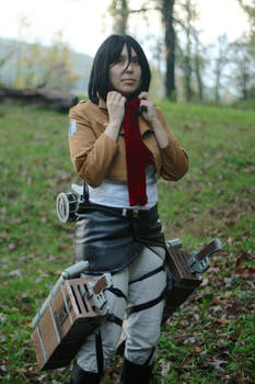 Mikasa - Comfort from a red scarf