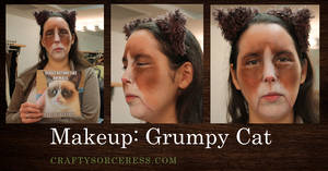 Grumpy Cat Makeup