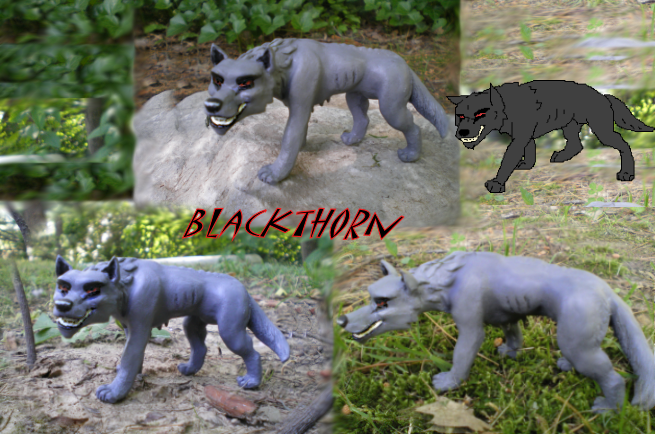 Blackthorn fgurene     REPOST