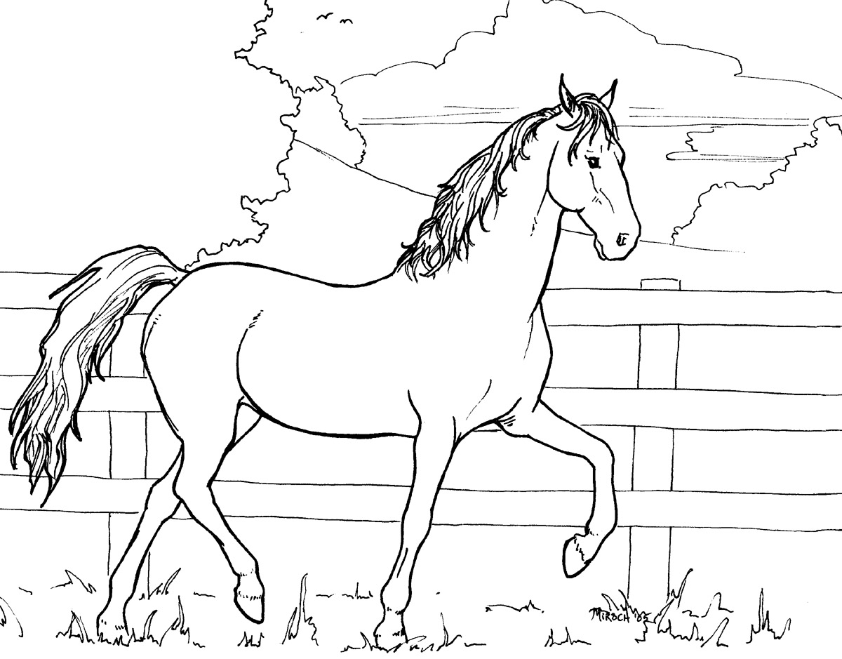 Horse - for colouring - 2005