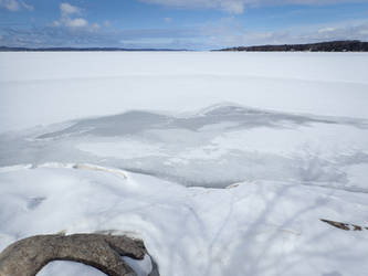Frozen Lake Imitates Birds