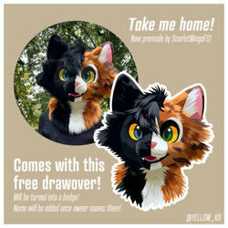 Chimera Cat Fursuit Drawover (Suit for Sale!)