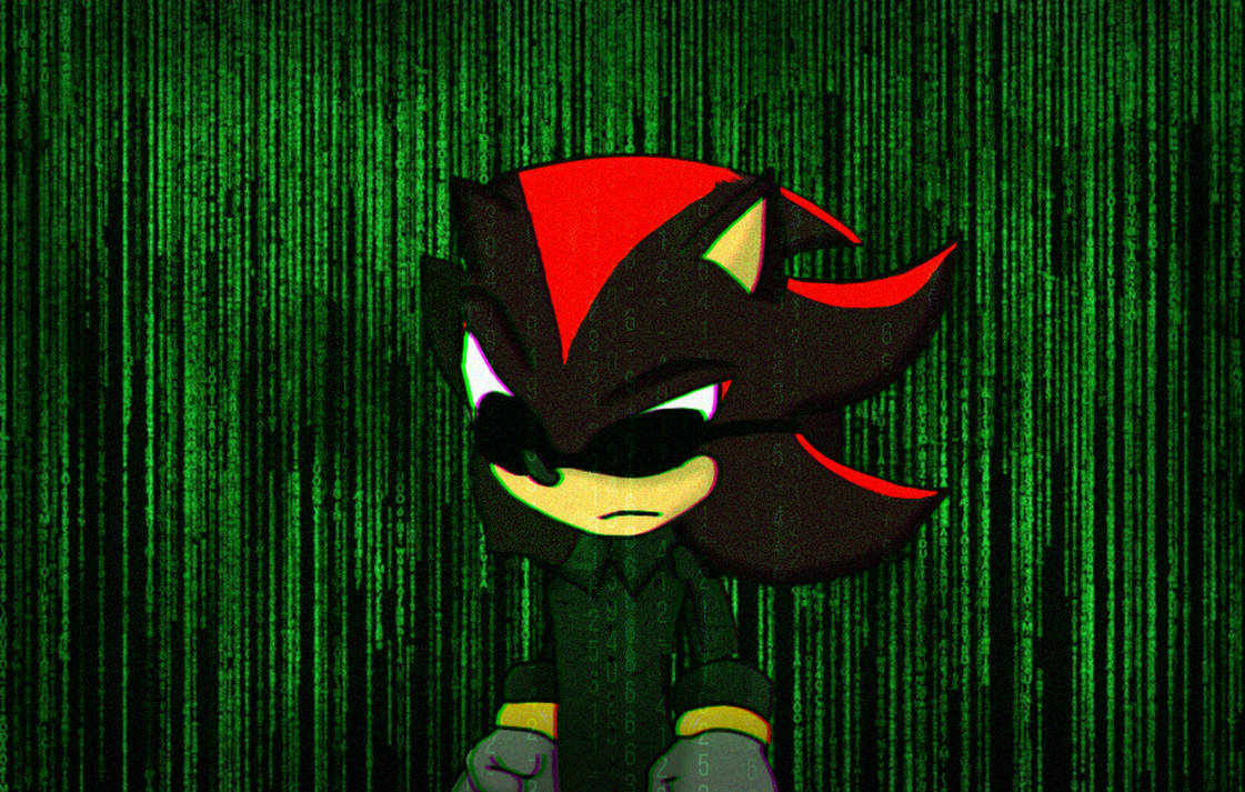 Shadow gets into the matrix by Bombom125251 on DeviantArt