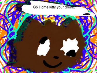 Go Home Kitty Your Drunk