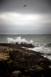 Pescadero beach 02