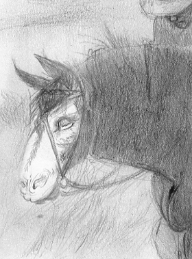 gaucho sketch one