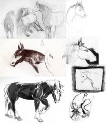 horse sketches