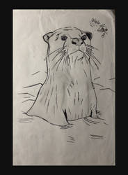 Otter