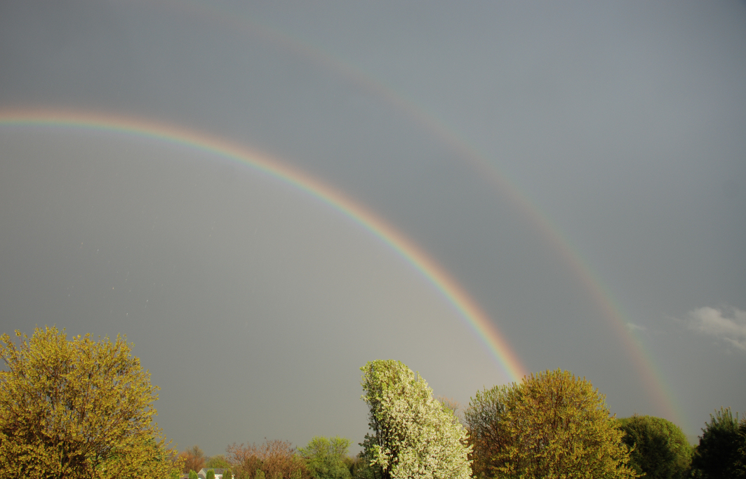 Double Rainbow 1