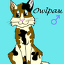 Owlpaw