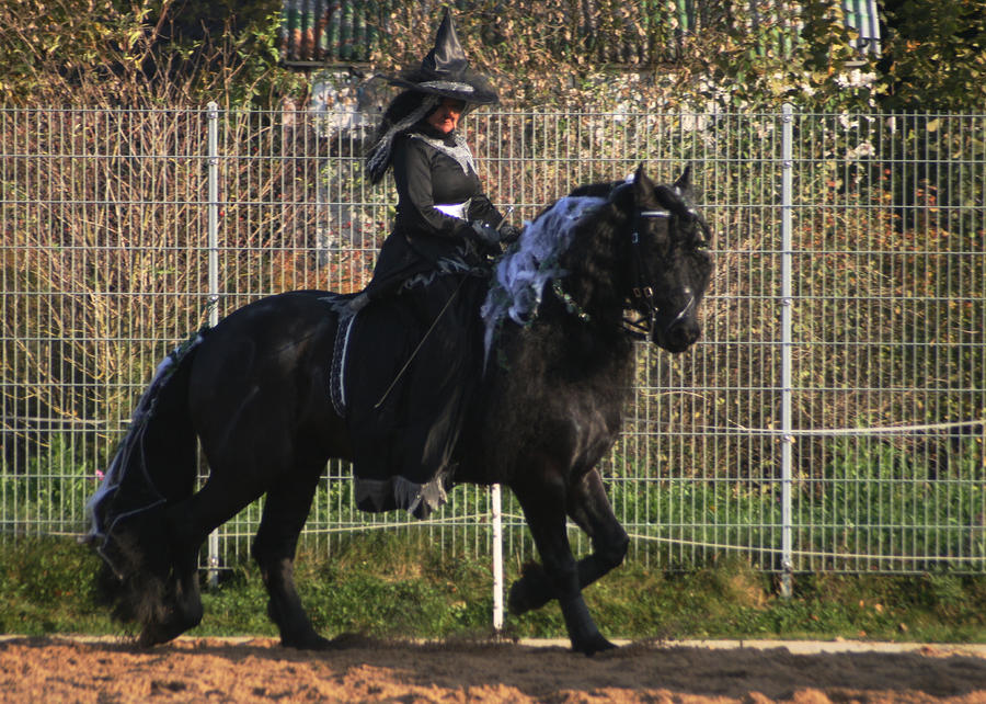 halloween witch on a horse