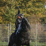 witch frisian 1