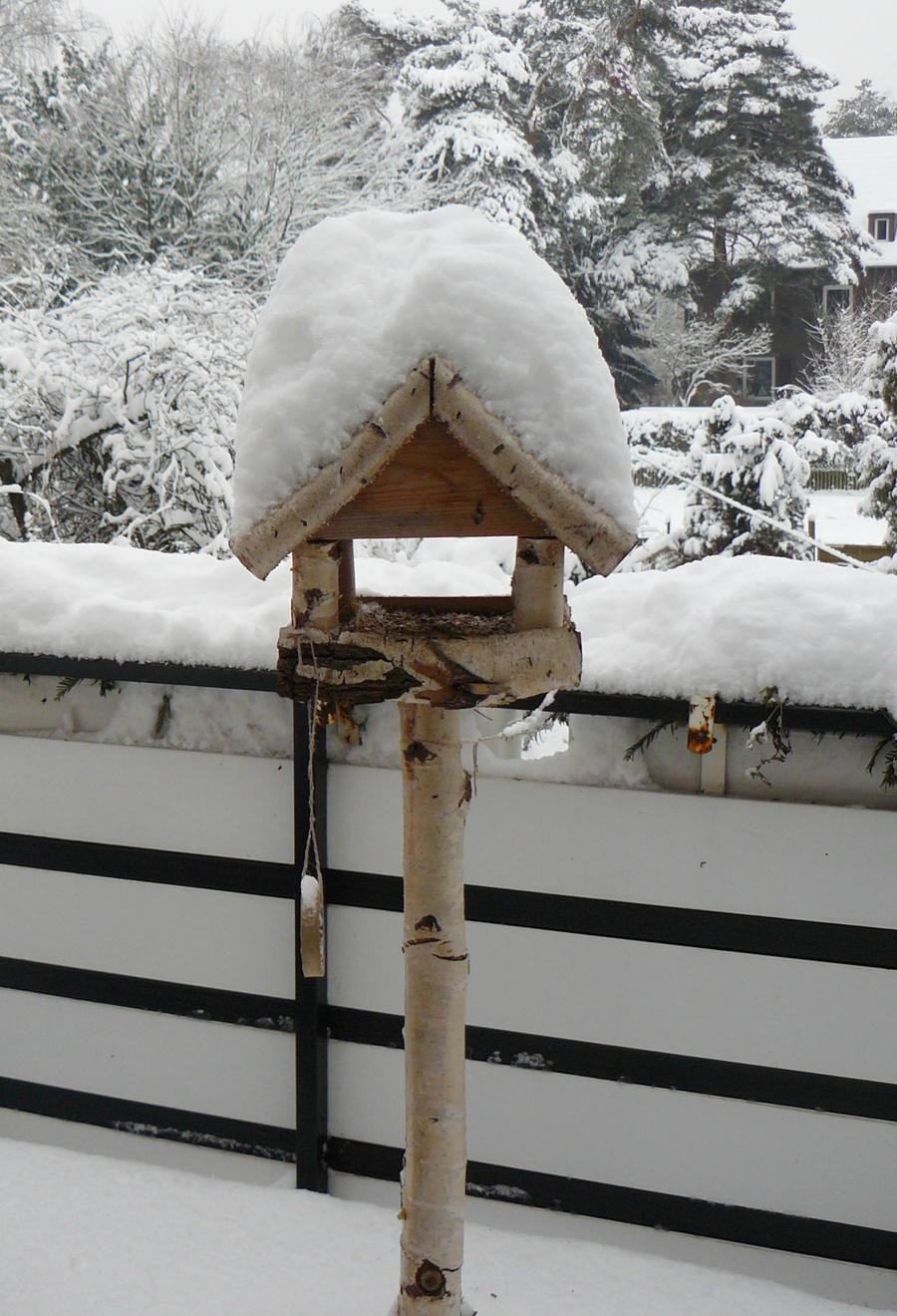 birdhouse with snow - Vogelhaus