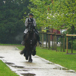 baroque rider in the rain