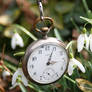 Pocket watch and snowdrops flower stock