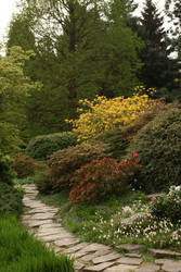 Spring path in a park